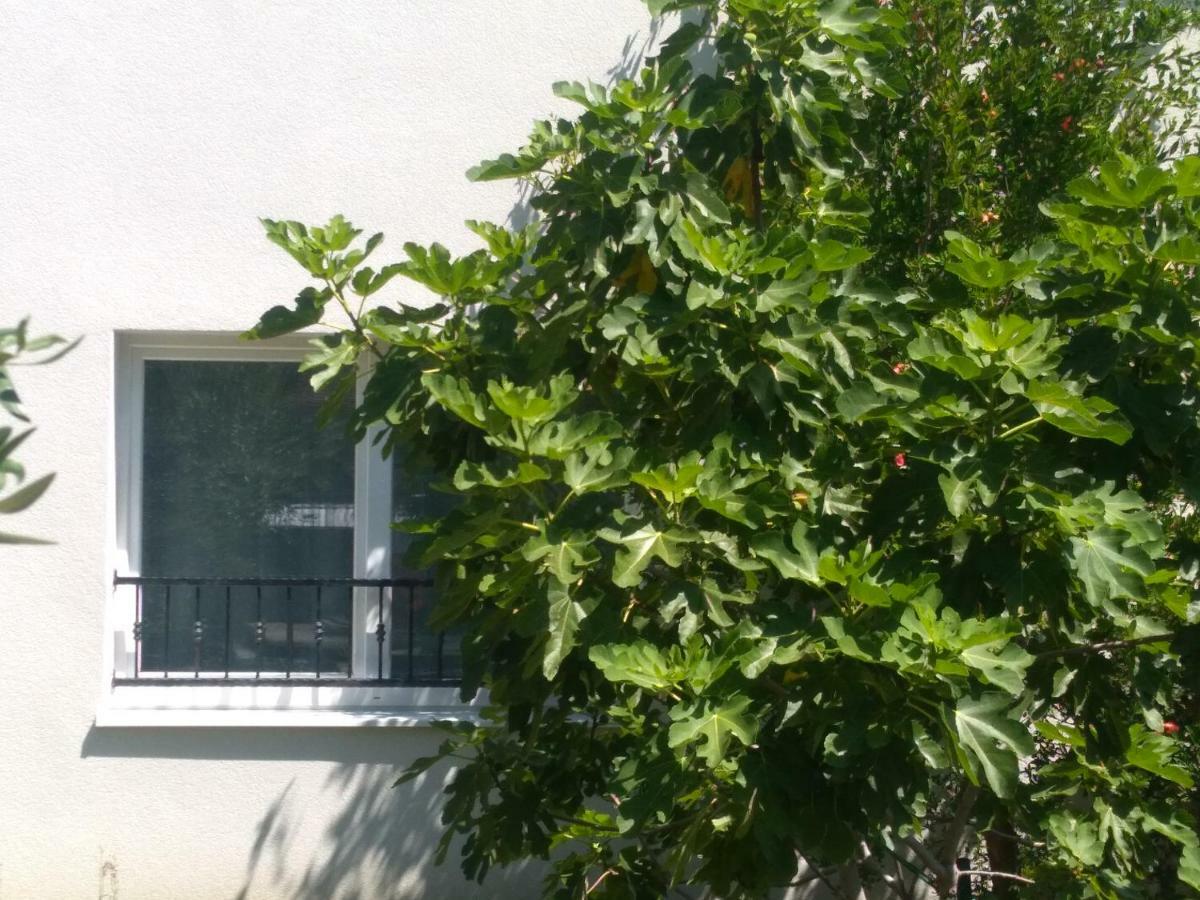 Apartment Simply Rodin Kastela Bagian luar foto